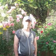 ���������� ���������, ������� ����, 42