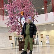 ���������� ������, ���� ������� ����, 38 ���, ������������ ��� ������, ����� � ���������, c�������� ���������, ���������