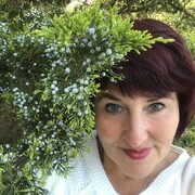 ���������� ������������, ���� ������� �����, 62 ����, ������������ ��� ������, ����� � ���������, c�������� ���������