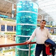 ���������� �����������, ���� ������� ���������, 53 ����, ������������ ��� ������, ����� � ���������