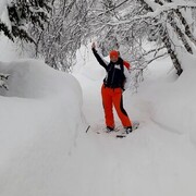 ���������� �����������, ���� ������� �������, 41 ���, ������������ ��� ������, ����� � ���������, c�������� ���������