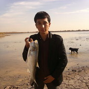  ,   Bekzod, 34 ,   