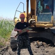 ���������� ���������, ���� ������� �������, 35 ���, ������������ ��� ����� � ���������, c�������� ���������, ���������