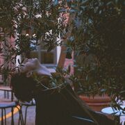  -,   , 22 ,   ,   