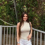 ���������� ������������, ���� ������� ���������, 22 ����, ������������ ��� ����� � ���������, c�������� ���������