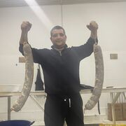 ���������� �������, ���� ������� �������, 36 ���, ������������ ��� c�������� ���������