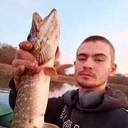 ���������� �������, ���� ������� ����������, 27 ���, ������������ ��� ������, ����� � ���������