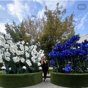  ,   , 34 ,   c 