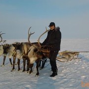 ���������� ����, ���� ������� �����, 56 ���, ������������ ��� ������, ����� � ���������, c�������� ���������