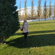 ���������� ���������, ���� ������� ��������, 66 ���, ������������ ��� c�������� ���������