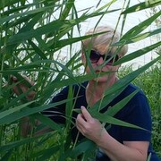 ���������� �����-���������, ���� ������� �������, 55 ���, ������������ ��� ������, ����� � ���������, c�������� ���������, ���������