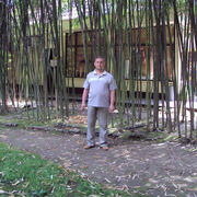 ���������� ������, ���� ������� ����, 51 ���, ������������ ��� ����� � ���������