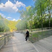 ���������� ������, ���� ������� ������, 40 ���, ������������ ��� ����� � ���������, c�������� ���������