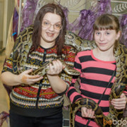 ���������� ��������, ���� ������� ���������, 40 ���, ������������ ��� ������