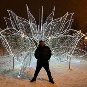 ���������� �����-���������, ���� ������� Tiger, 39 ���, ������������ ��� ������, ����� � ���������, ���������