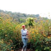 ���������� ����, ���� ������� ������, 60 ���, ������������ ��� ������, ����� � ���������, c�������� ���������