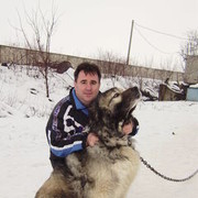  ,   Peotr, 62 ,  
