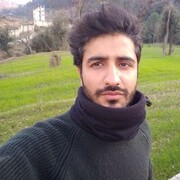 ���������� ������, ���� ������� Roy, 30 ���, ������������ ��� ����� � ���������, c�������� ���������