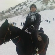 ���������� �������, ���� ������� Zorro, 37 ���, ������������ ��� ������, ����� � ���������, c�������� ���������, ���������