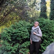 ���������� ������, ���� ������� �����, 65 ���, ������������ ��� ������, ����� � ���������