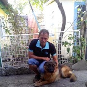  ,   Vit, 49 ,   ,   , c 
