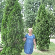 ���������� ������, ���� ������� ������, 68 ���, ������������ 