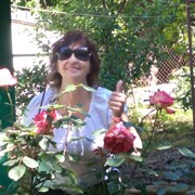  ,   , 68 ,   ,   , c , 