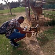 ���������� �����, ���� ������� Mester Brown, 34 ����, ������������ ��� ������, ����� � ���������, c�������� ���������, ���������