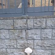 ���������� �����������, ���� ������� Nuridinjon, 34 ����, ������������ ��� ������, ����� � ���������