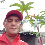  ,   , 50 ,     , c , 