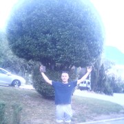 ���������� ����, ���� ������� �����, 38 ���, ������������ ��� ������, ����� � ���������, c�������� ���������