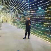  ,   No name, 33 ,   ,   