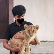 ���������� �������, ���� ����� Usmonali, 20 ���, ������������ ��� ������, ����� � ���������, c�������� ���������