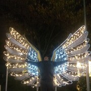 ���������� ��������, ���� ������� ������, 39 ���, ������������ ��� ������, ����� � ���������, c�������� ���������