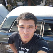  ,   Zamir, 33 ,   ,   , c 