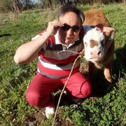 ���������� ������, ���� ������� ������, 45 ���, ������������ ��� ������, ����� � ���������, c�������� ���������