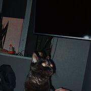  ,  , 23
