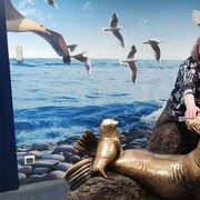 ���������� �����-���������, ���� ������� �����, 50 ���, ������������ ��� ����� � ���������, c�������� ���������