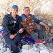 ���������� ������, ���� ������� �����, 38 ���, ������������ ��� ������, ����� � ���������