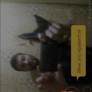 ���������� ���������, ���� ������� ������, 40 ���, ������������ ��� ������, ����� � ���������, c�������� ���������