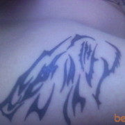 ���������� ����-�����������, ���� ������� Max, 31 ���, ������������ ��� ������