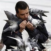 ���������� �������, ���� ������� Ggg222, 48 ���, ������������ ��� ������