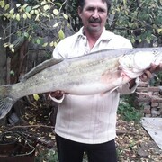  ,   , 59 ,     , c 