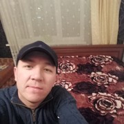  -,   , 37 ,   
