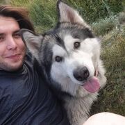  ,   DeWitt, 24 ,   ,   , c , 
