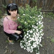  ,   , 56 ,  