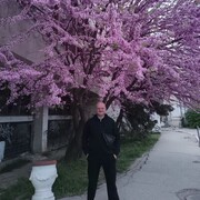 ���������� ������-��-����, ���� ������� ���������, 41 ���, ������������ ��� c�������� ���������