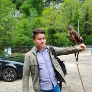 ���������� ����, ���� ����� �������, 24 ����, ������������ ��� ������, ����� � ���������, ���������