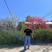 ���������� ���������, ���� ������� �����, 44 ����, ������������ ��� ������, ����� � ���������, c�������� ���������