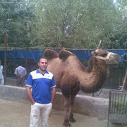 ���������� ����, ���� ������� Roshka, 46 ���, ������������ ��� ����� � ���������, c�������� ���������